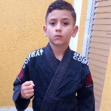 THéO HENRY OLIVEIRA DE ANDRADE ALVES 